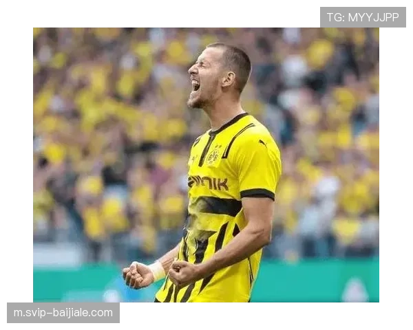 施洛特贝克因伤缺席 多特后防重组面临真蓝黑冲击